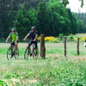 Usedom, das Naturparadies, mit dem Fahrrad entdecken - (c) Usedom Tourismus