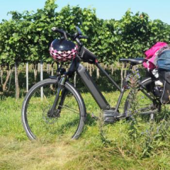 Mit dem Fahrrad durch die Weinberge Niederösterreichs. Dank des sehr gut ausgebauten Radwegenetz ein besonderes Vergnügen - (c) Jörg Bornmann 