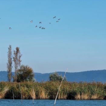 Weiter geht unsere Fahrradtour um den Lago Trasimeno zur Fischereigenossenschaft ‚Cooperative Pescatori‘ in San Feliciano - (c) Jörg Bornmann