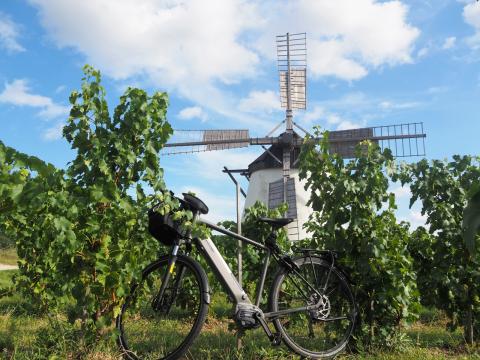 Die Windmühle oberhalb von Retz im Weinviertel ist die letzte funktionsfähige Mühle ihrer Art in Österreich - (c) Jörg Bornmann Die Windmühle oberhalb von Retz im Weinviertel ist die letzte funktionsfähige Mühle ihrer Art in Österreich - (c) Jörg Bornmann